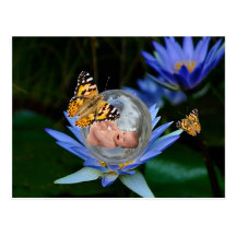 A cute baby lily butterfly bubble post cards
