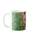 A cute baby tiger mug