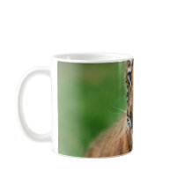 A cute baby tiger mug