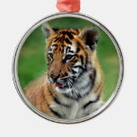 A cute baby tiger ornament