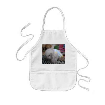 A Cute Bunny Rabbit in a Dress Aprons by goisaan