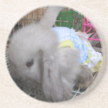 A Cute Bunny Rabbit in a Dress