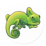 A cute chameleon lizard