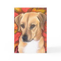 A cute Snoot Christmas cards