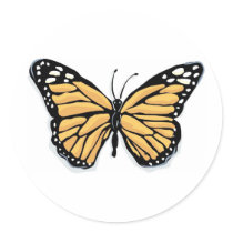 A Dainty Monarch Butterfly