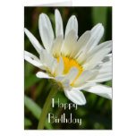A Daisy Expression Birthday Card