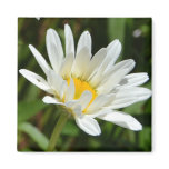 A Daisy Expression Magnet