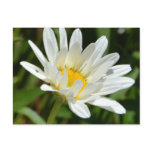 A Daisy Expression Postcard
