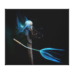 A dandelion holding on to its seed macro gallery wrap canvas