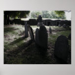 A Dark Forever Canvas Print