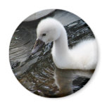 A Day on the Water Refrigerator Magnet