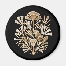 A Diatom Fridge Magnet