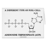 A Different Type Of Fuel Cell (ATP)