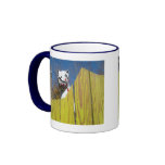 A dinosaur in the Court Yard of Wonders Mug
