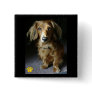 A Distinguished Dachshund Button