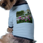 A Divine Rose Garden Picture pet clothing