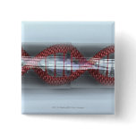 A DNA strand in a capsule Button