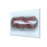 A DNA strand in a capsule Gallery Wrap Canvas