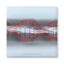 A DNA strand in a capsule Refrigerator Magnet