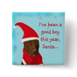 A dog in a Christmas hat pin