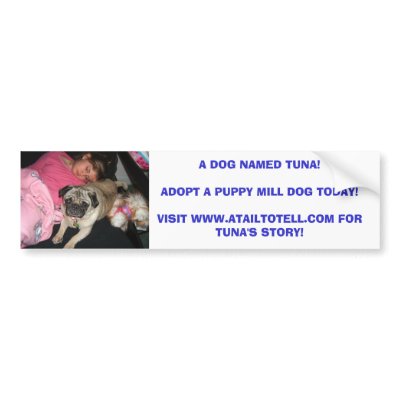 A DOG NAMED TUNA!ADOPT A PUPP... BUMPER STICKERS by chrisd508
