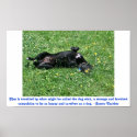A Dog Wish posters