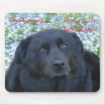 A Dog's Life...Best Friend Mouse Mats