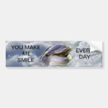 A dolphins best smile bumper stickers