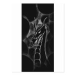 A dragon in smoke (black) post card