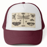 A dragonfly, ladybirds, and butterflies hats