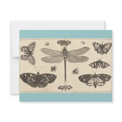 A dragonfly, ladybirds, and butterflies personalized announcements by MyOtherPlanet