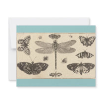 A dragonfly, ladybirds, and butterflies personalized announcements