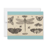 A dragonfly, ladybirds, and butterflies invitations