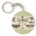A dragonfly, ladybirds, and butterflies keychains