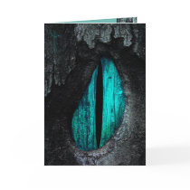 A Dragon's Eye Cards