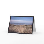 A Dry Dune Grass Day Greeting Cards