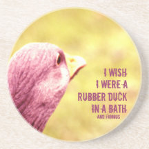 A duck's wish coaster