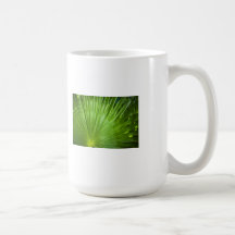 A Fan of Green Coffee Mugs