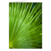 A Fan of Green Greeting Cards