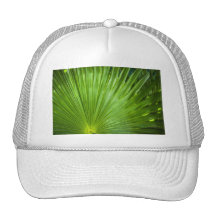 A Fan of Green Mesh Hat