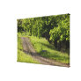 A farm road in Ipswich, Massachusetts. Gallery Wrap Canvas