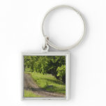 A farm road in Ipswich, Massachusetts. Keychains