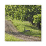 A farm road in Ipswich, Massachusetts. Fridge Magnet