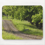 A farm road in Ipswich, Massachusetts. Mouse Pad