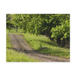A farm road in Ipswich, Massachusetts. postcards