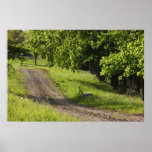 A farm road in Ipswich, Massachusetts. Posters