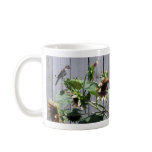 A Feast of Sunflower Seeds mugs