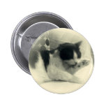 A feline romance buttons