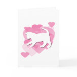 A Feline Valentine