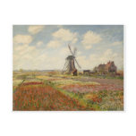 A Field of Tulips in Holland (1886) Postcard